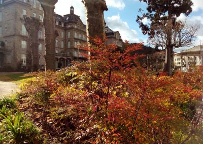 exterior edificio jardines